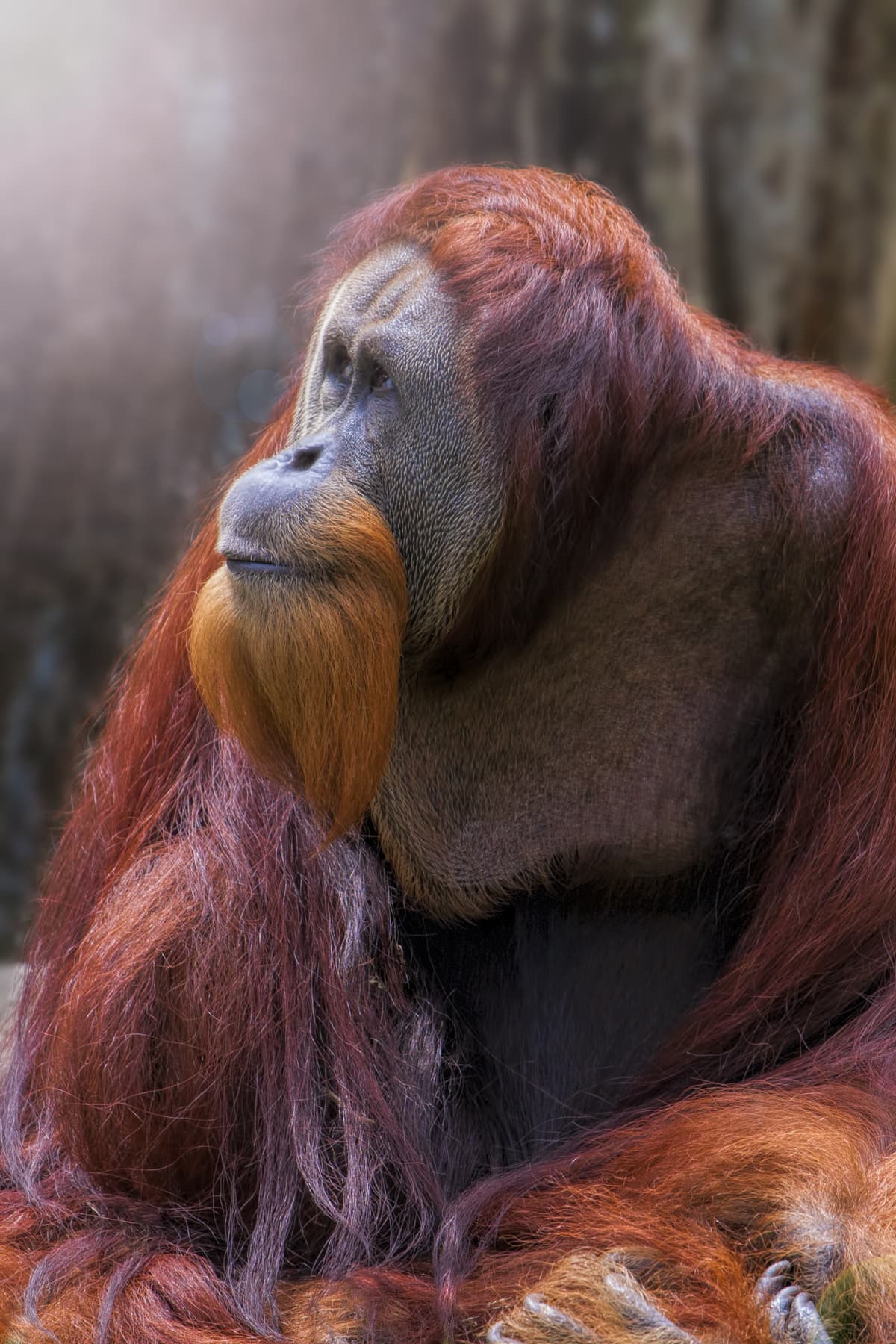 5 destinos para ver vida salvaje con tus hijos